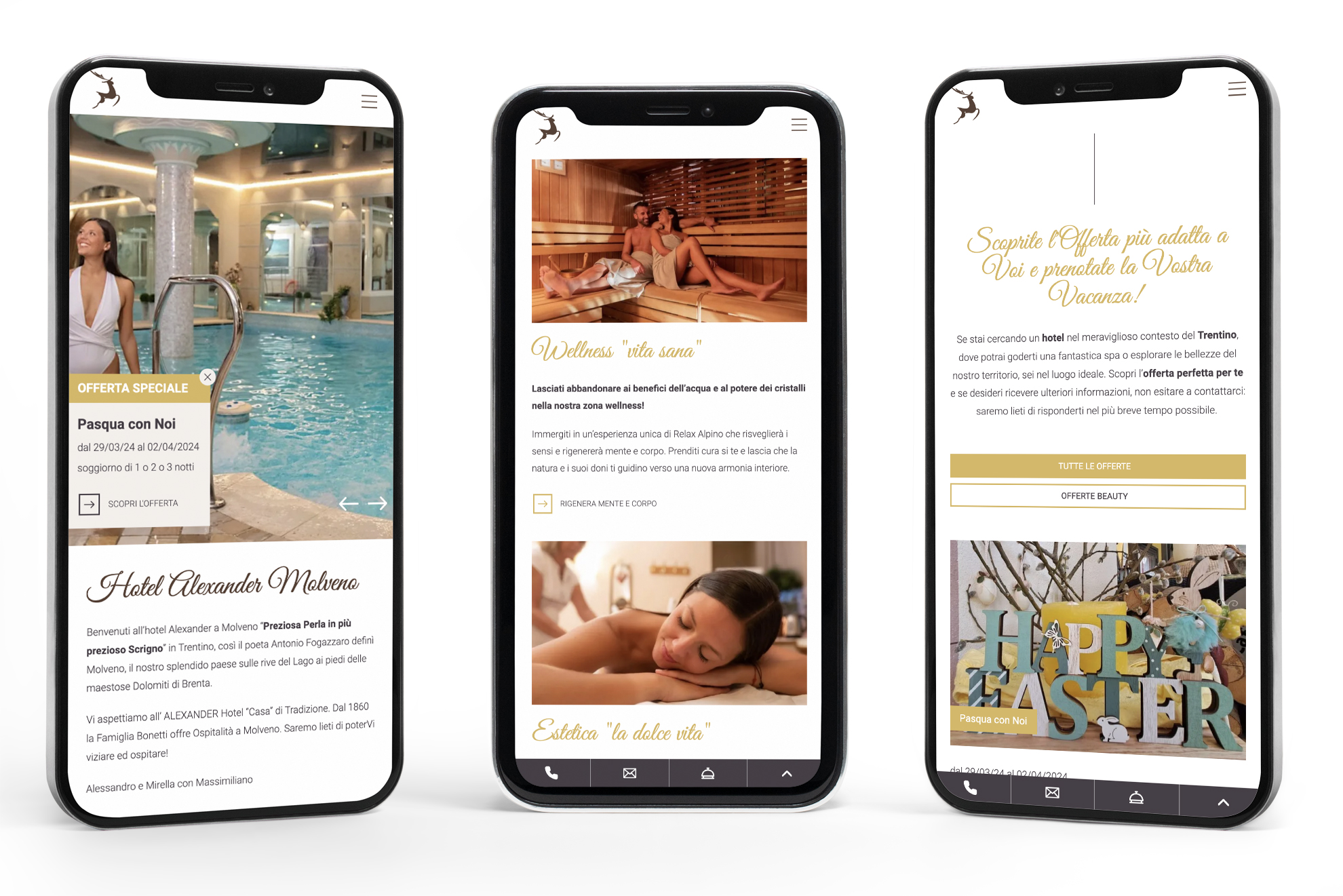 Mobile Mockup Hotel Alexander